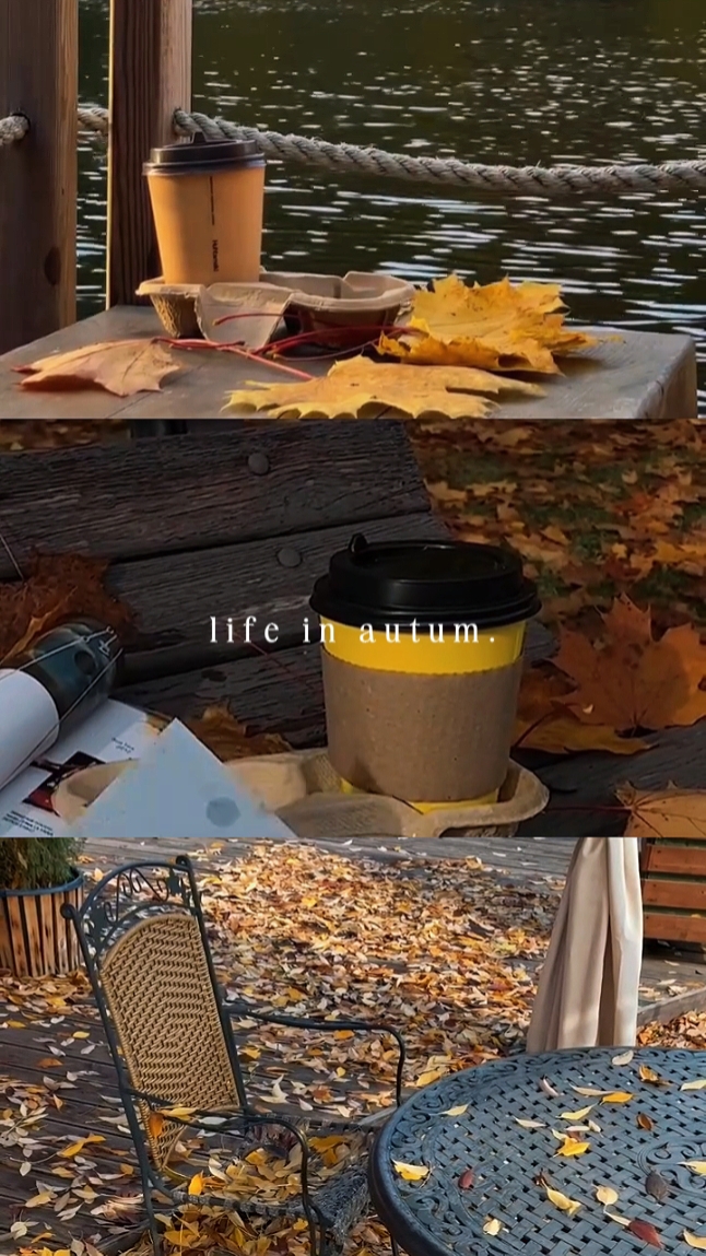 life in autumn
