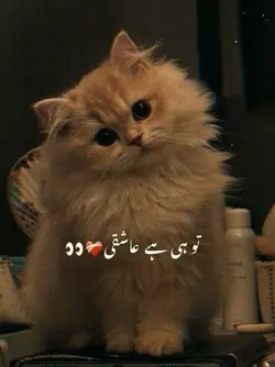 Tu hi hai ashqi