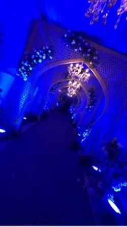 1234 x Wedding