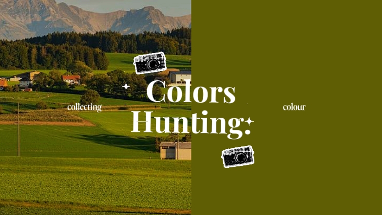 Caza de colores