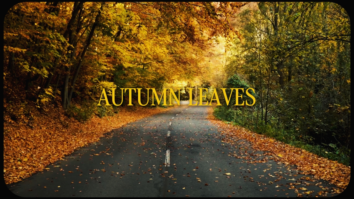 autumn vibes