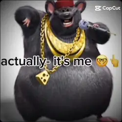 best rat
