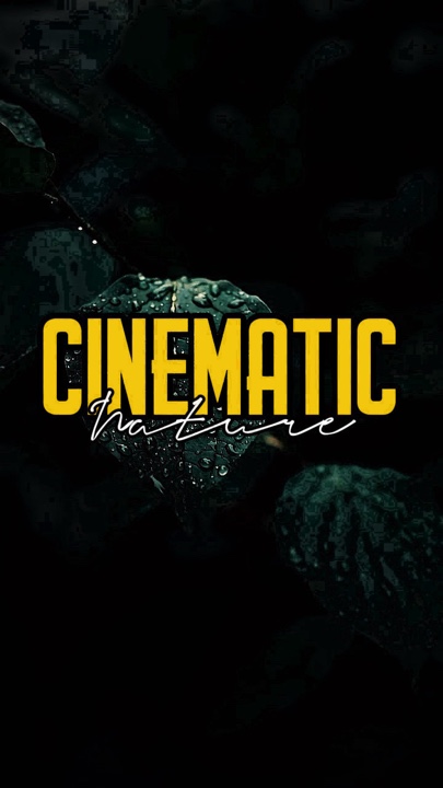 Cinematográfico
