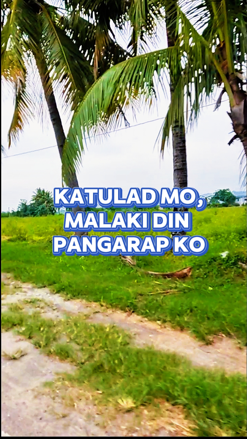 Katulad mo