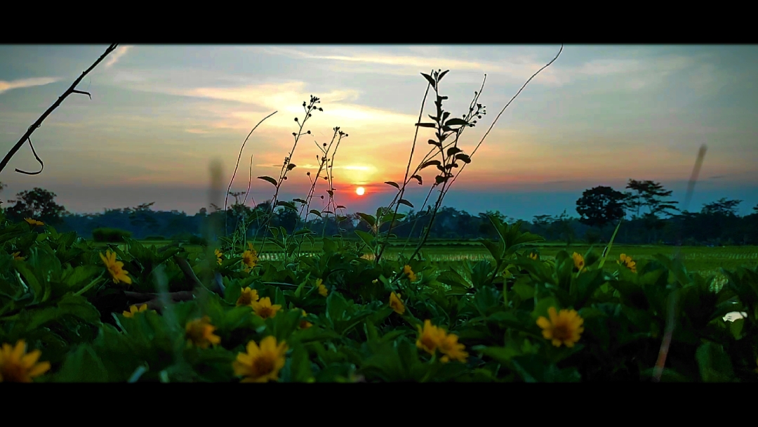 slow cinematic 