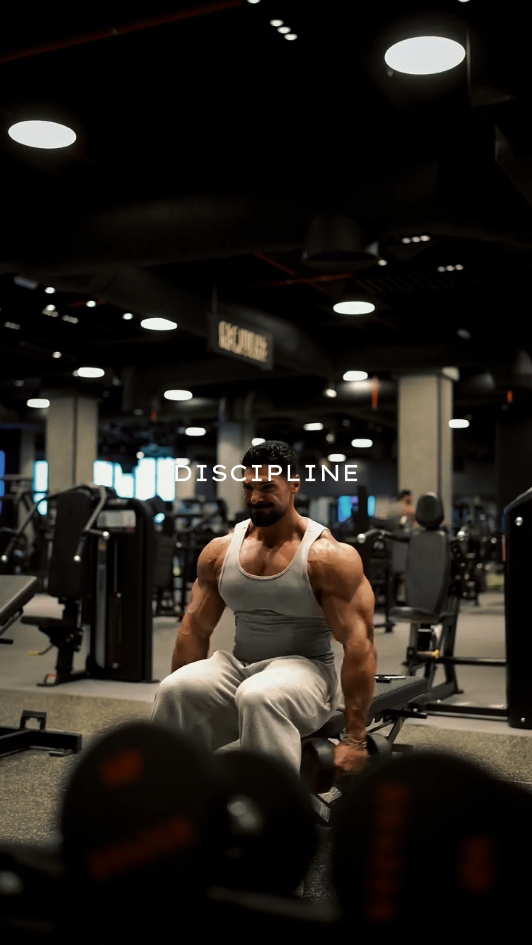 DISIPLIN