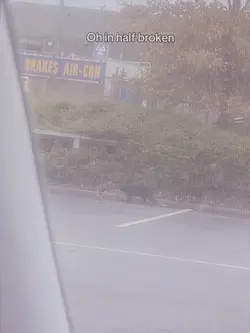 🇩🇪