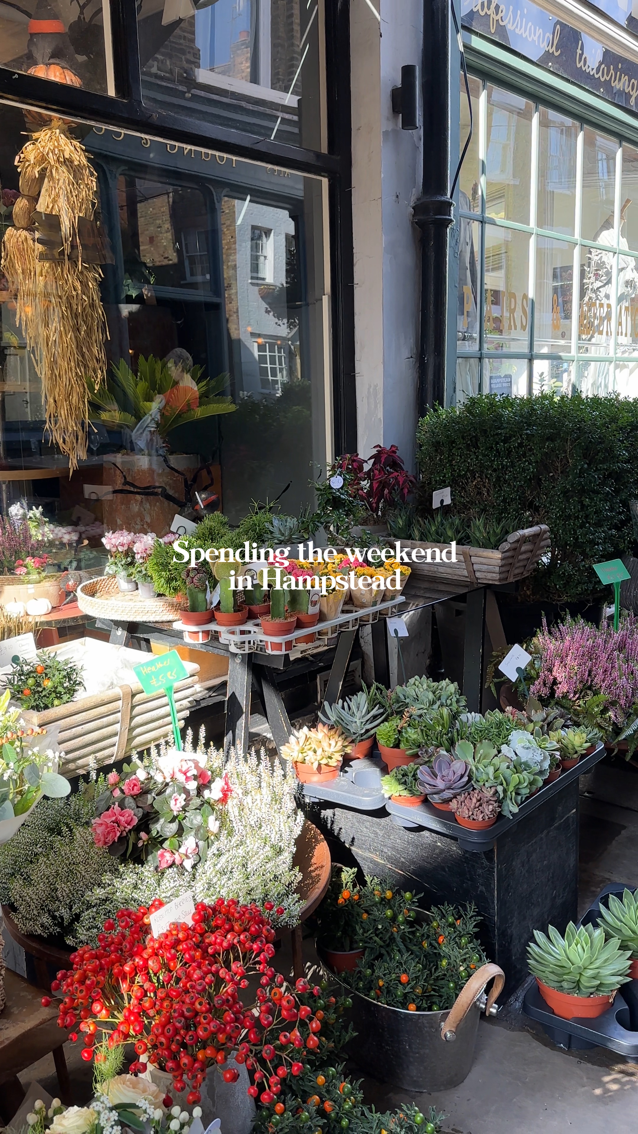 Hampstead weekend 