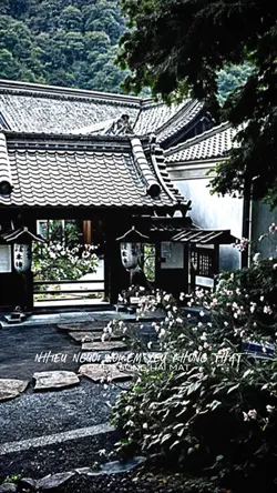 NHIỀU NGƯỜI NÓI EM