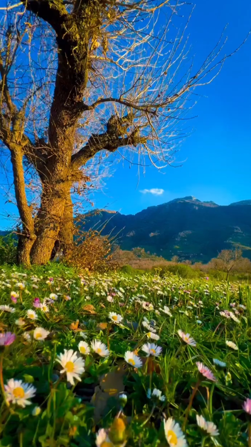 Nature