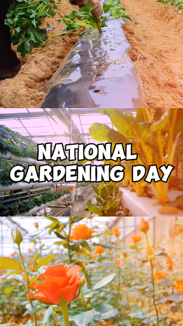 Gardening Day
