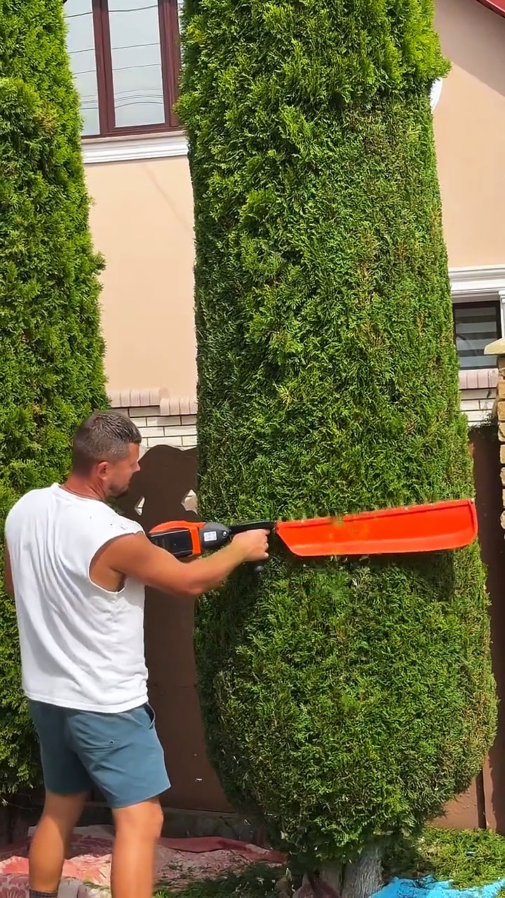 Berkebun
