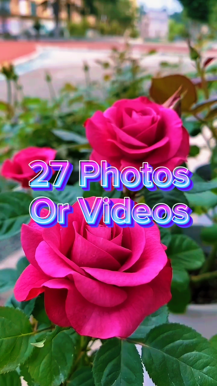 27 Video slides