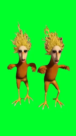 Chicken noodle soup