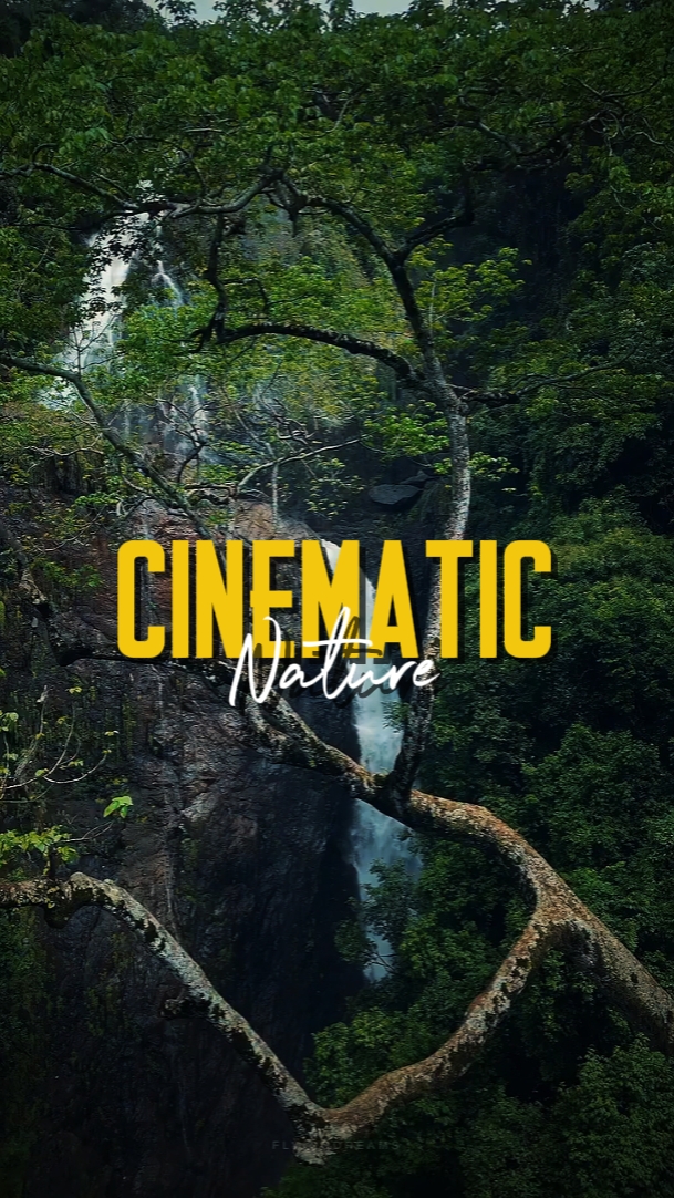 CINEMÁTICO