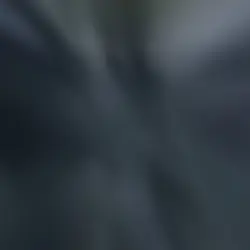 o homem aranha 