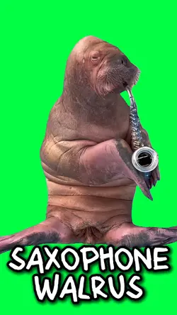 SAXOPHONE WALRUS