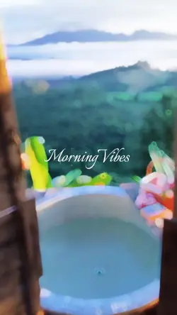 Morning Vibes