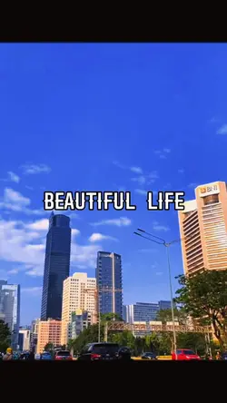 Beautiful Life