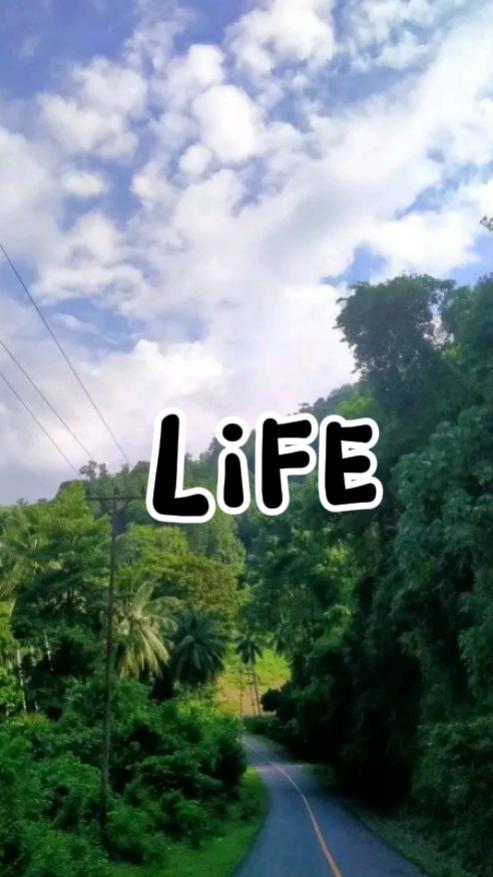 La vida es un viaje