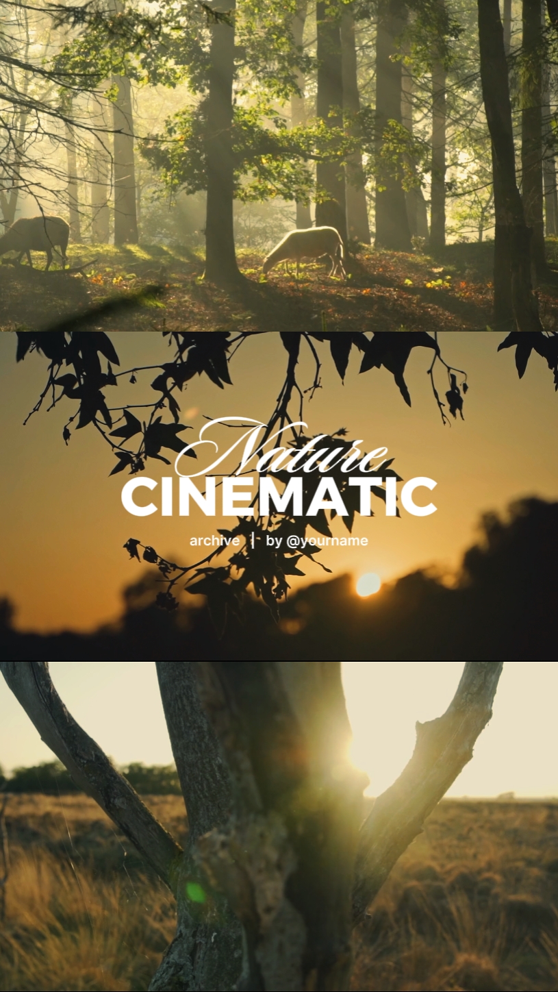 nature cinematic