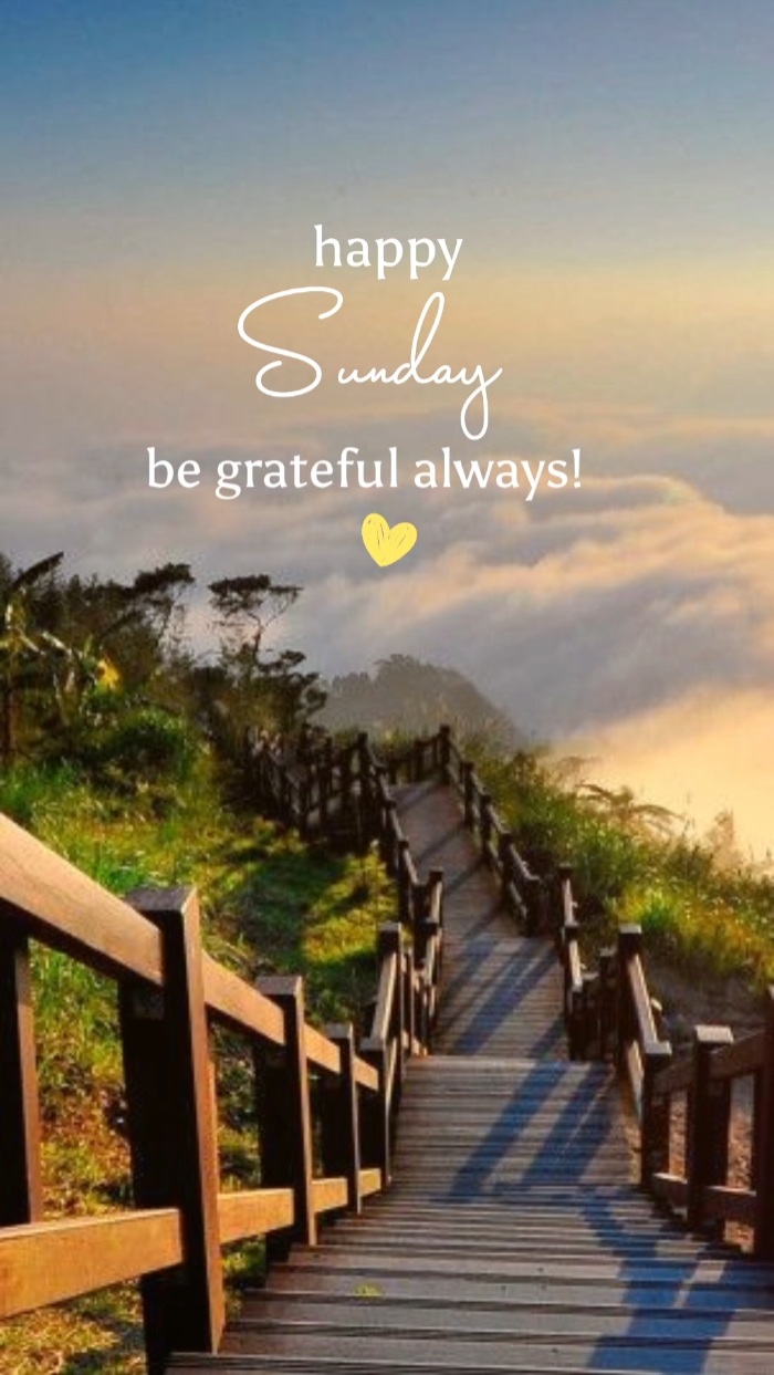 Feliz domingo