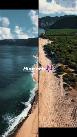 Amado