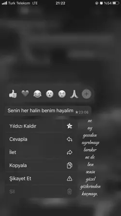 güzelgözlerinden