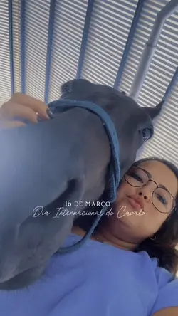 Dia deles ❤️🐴