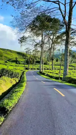 3 video road trip