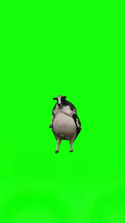 Fat Cow Walking