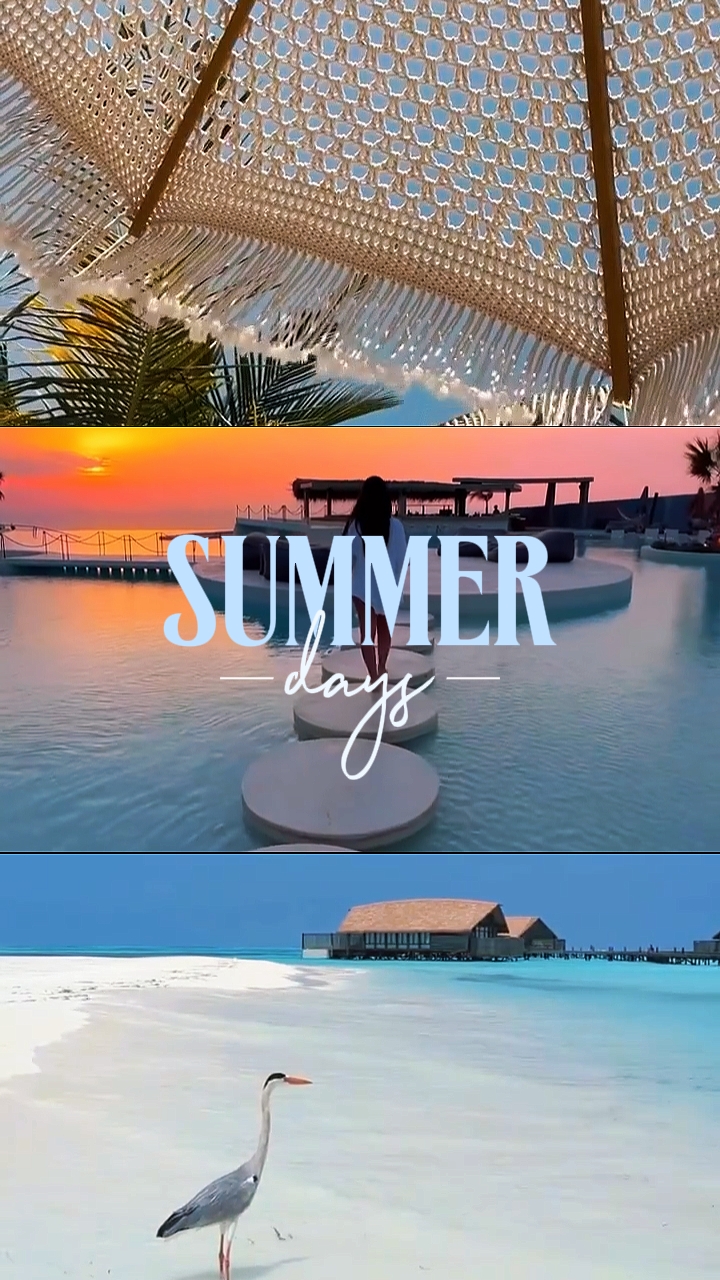 Dias de verão 