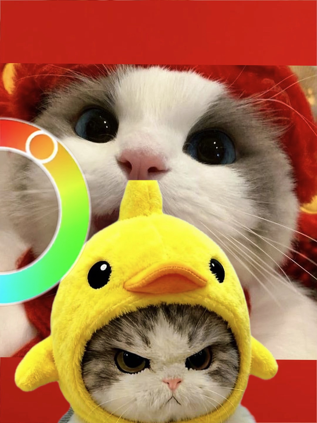 Courir Color Wheel