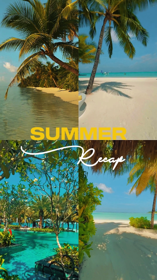 summer recap