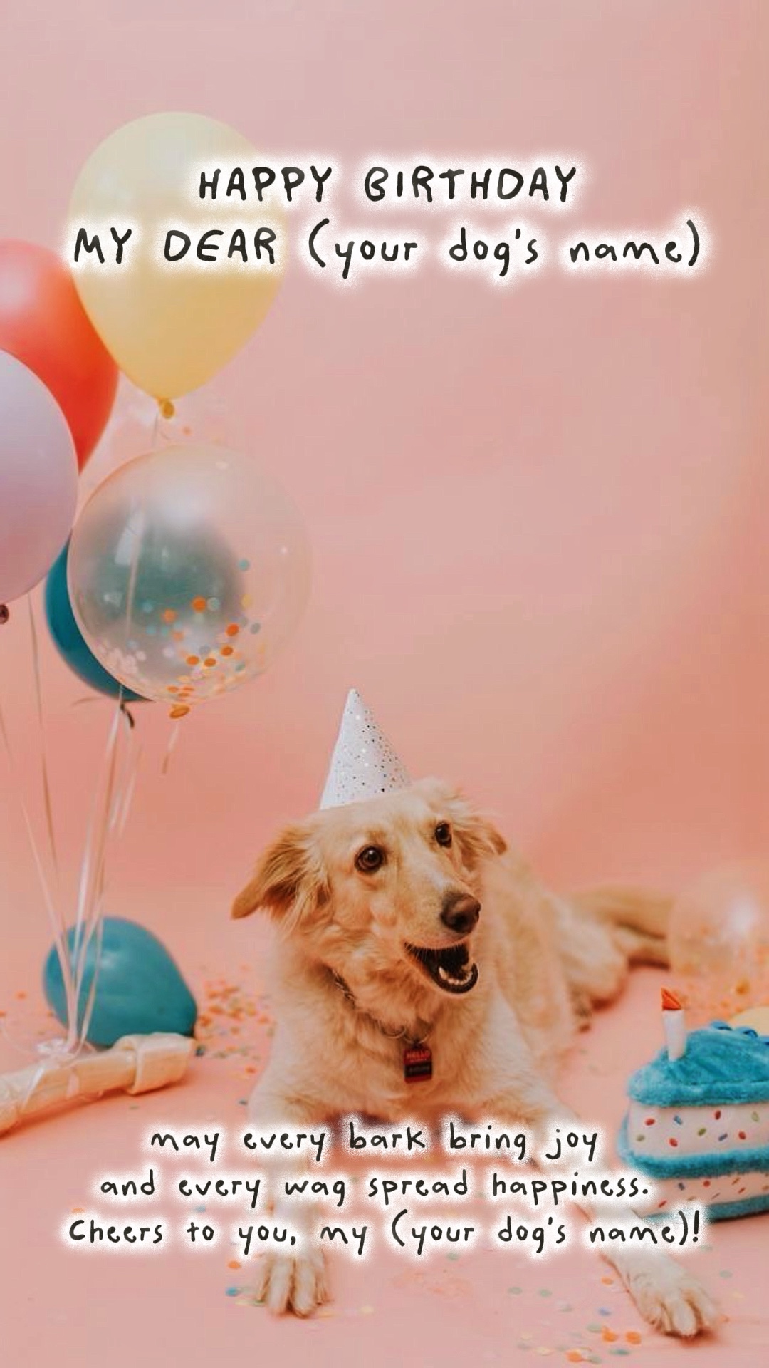 Birthday dog