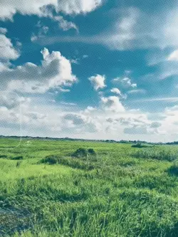 ধীরে ধীরে চেনা ভিড়ে 