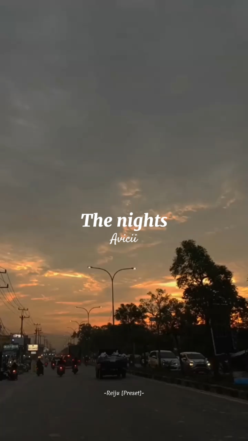 Avici - The Nights