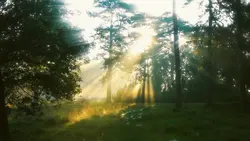 Nature vibe 