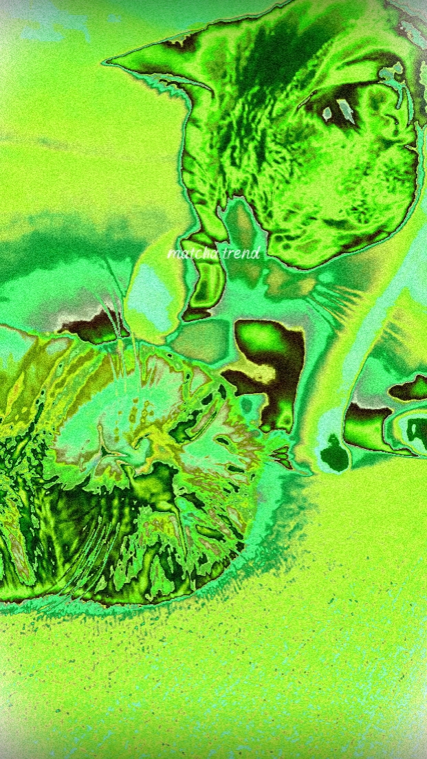 MATCHA CAT EFFECT