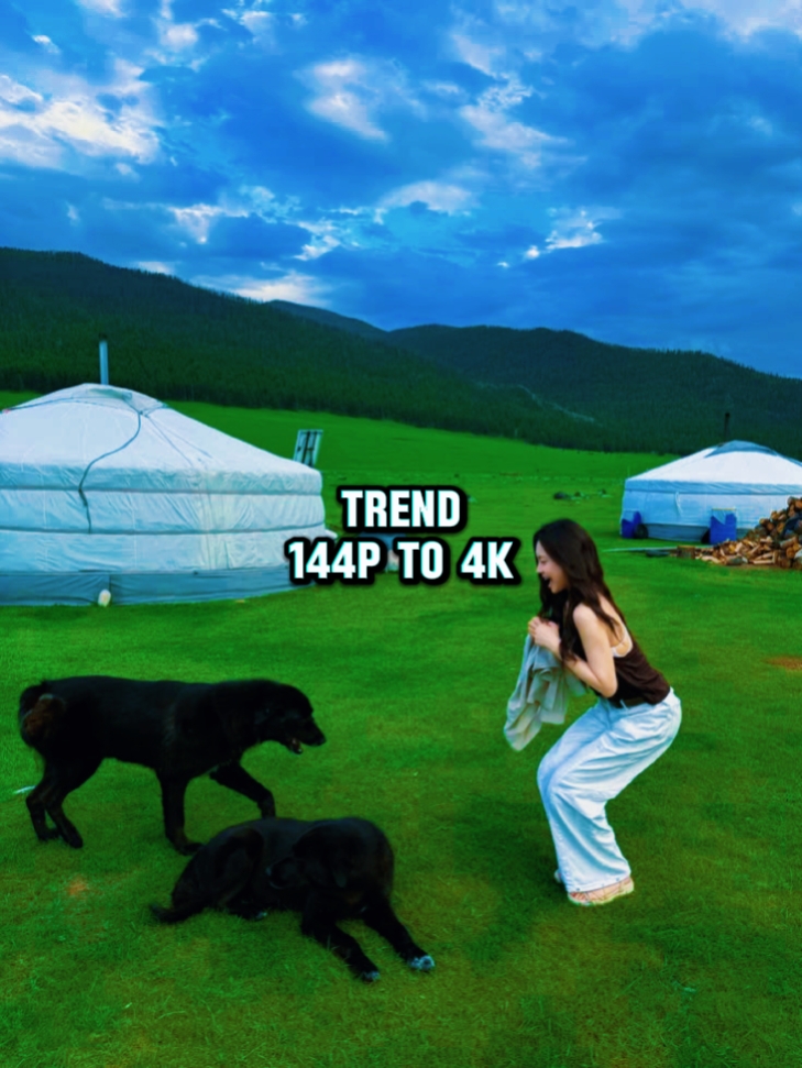 Tendencia de 144p a 4k