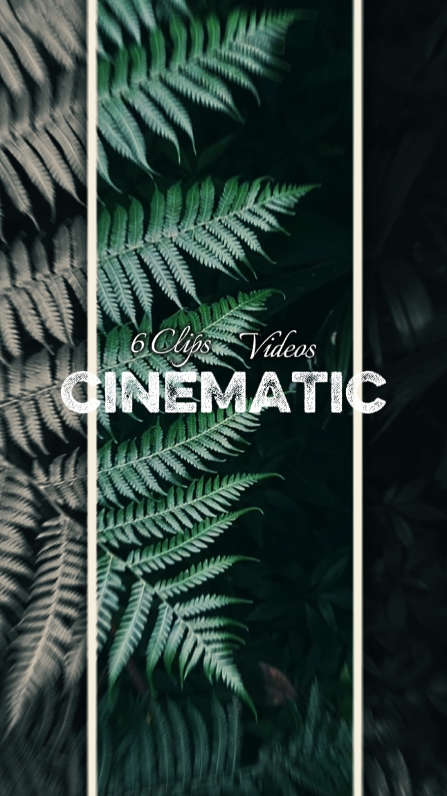 6 Clips cinematic