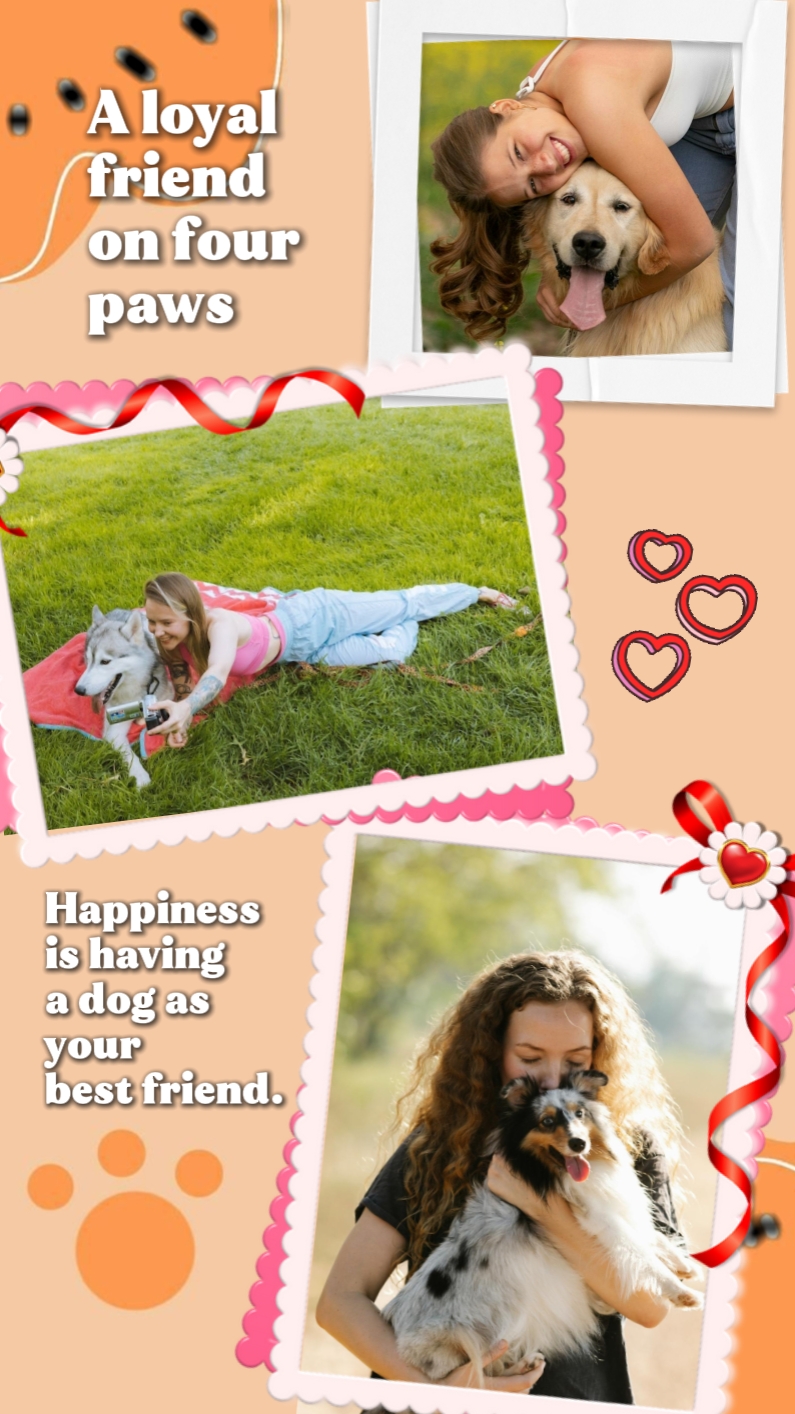 Four-Paw Friend