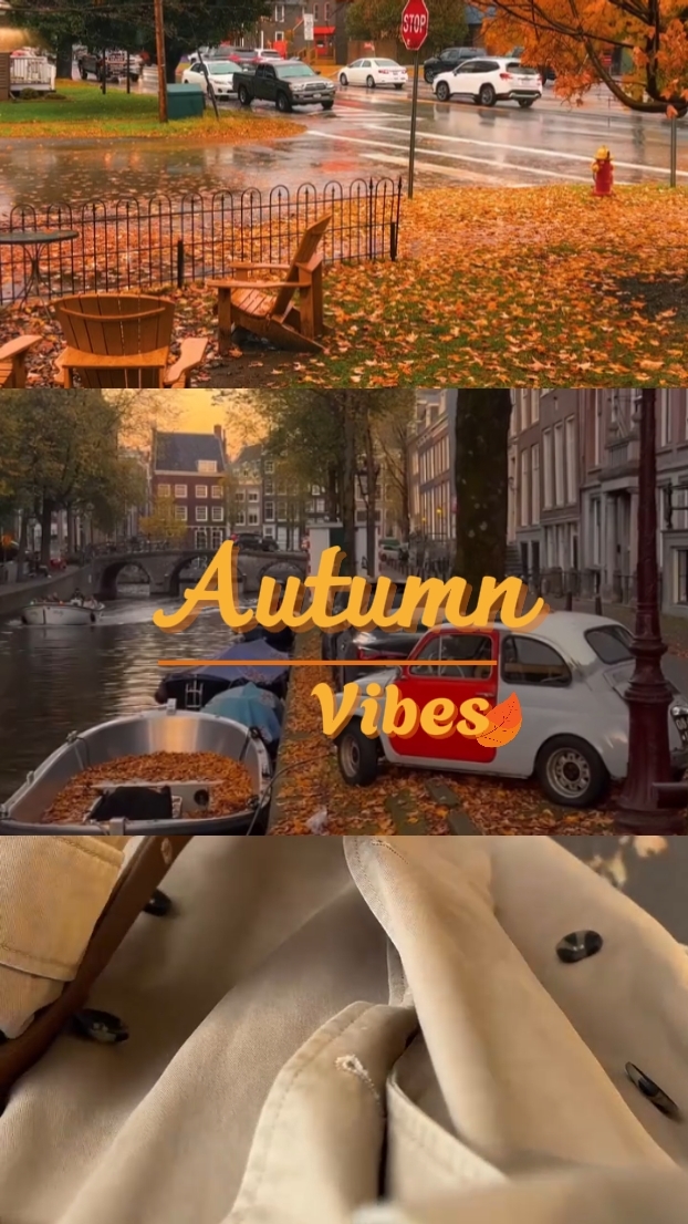 Vibraciones de otoño 