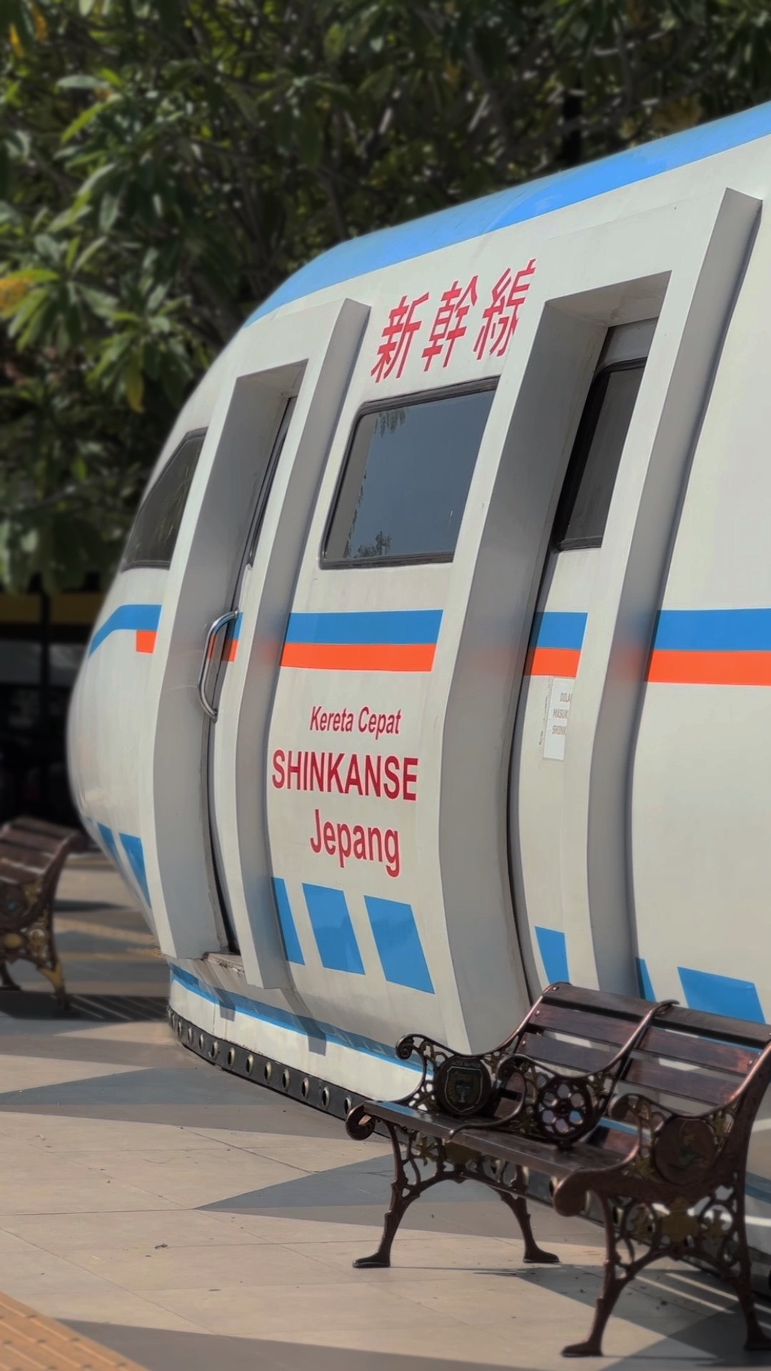 MYSTERIOUS GIRL X 