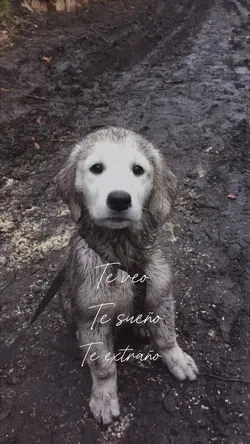 Te extraño 🤍