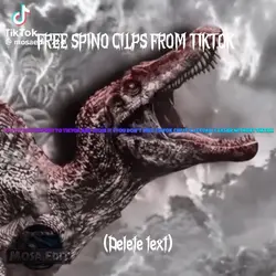 Free spino cilps