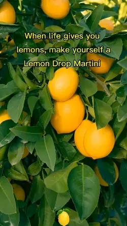 Life gives you lemon
