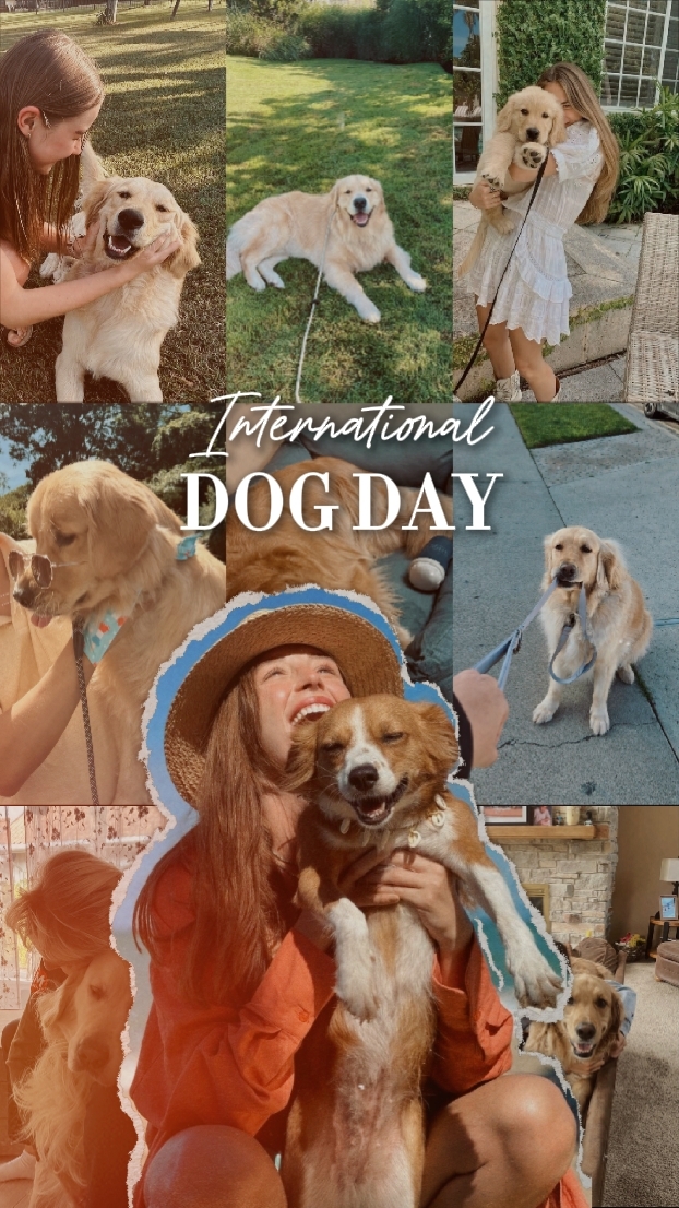 DÍA NACIONAL DEL PERRO