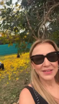 Filtro e voz