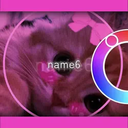 🩷Courir color wheel